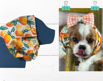 Adjustable Dog Snood: Protect Ears while Eating/Walking, Show Dogs /FLORIDA CITRUS ORANGES Snood // Cavalier King Charles Spaniel Snood