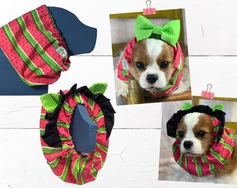 Adjustable Dog Snood: WATERMELON STRIPES Snood / Spring & Summer to Protect Long Ears, Show Dog + Cavalier King Charles Spaniel