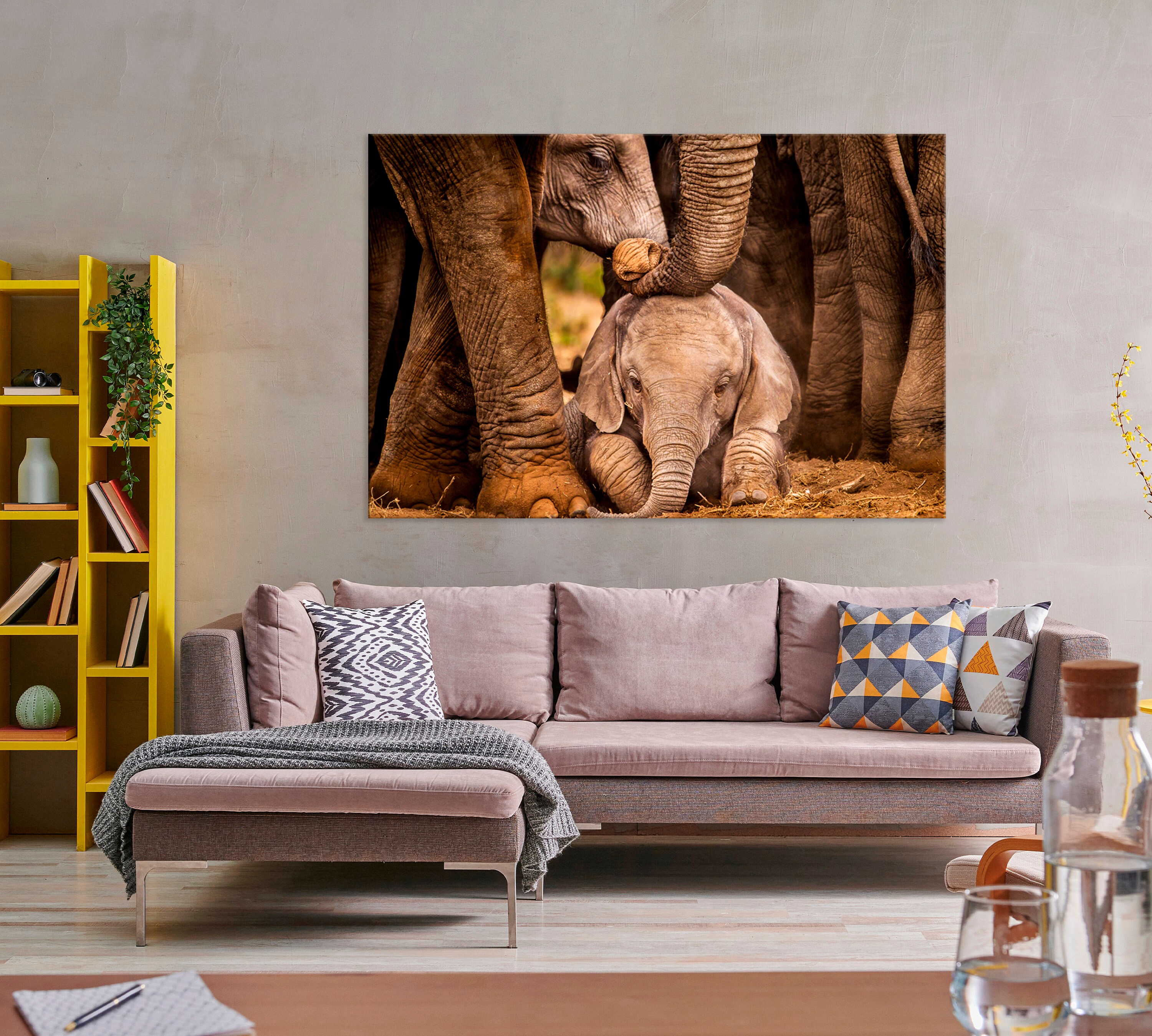 bild leinwand elefant