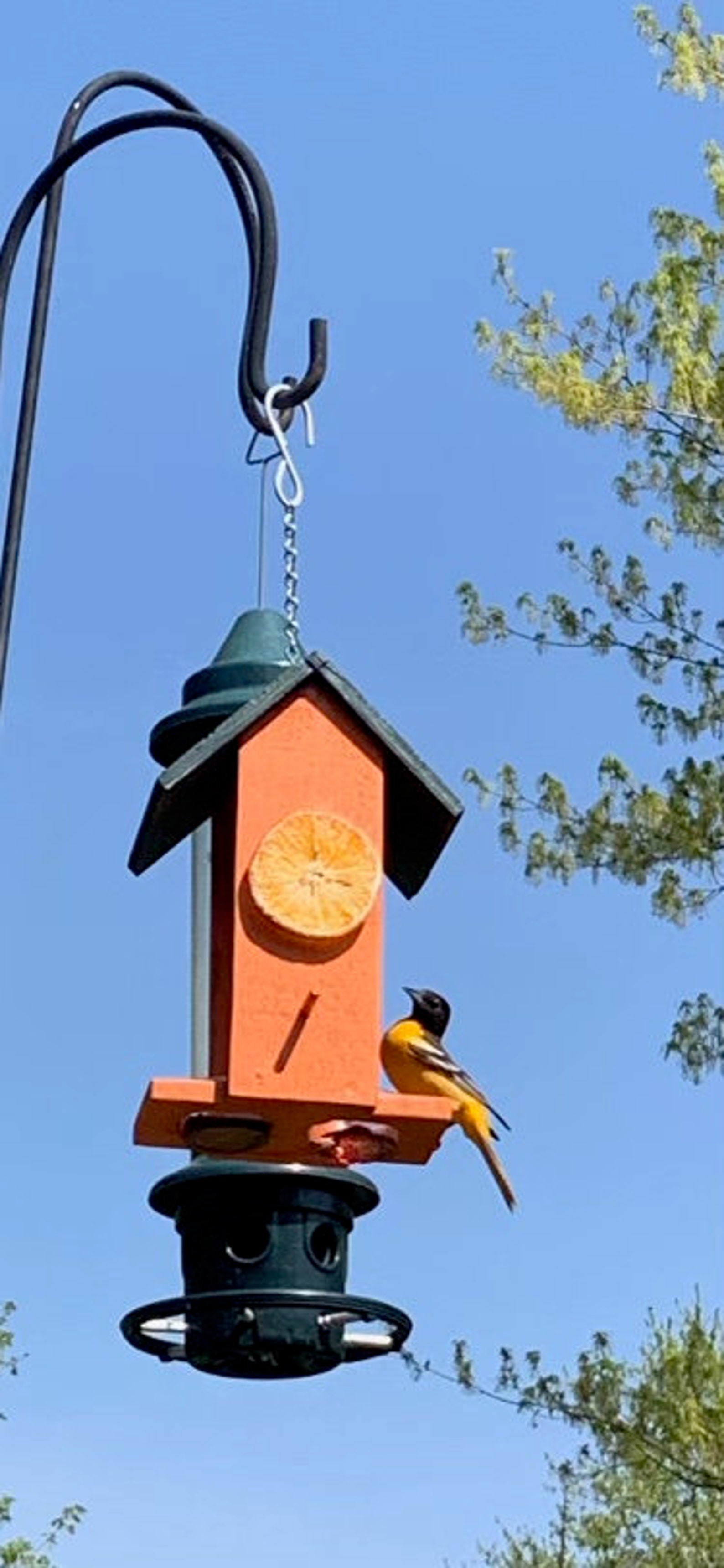 Oriole Bird Feeders Etsy