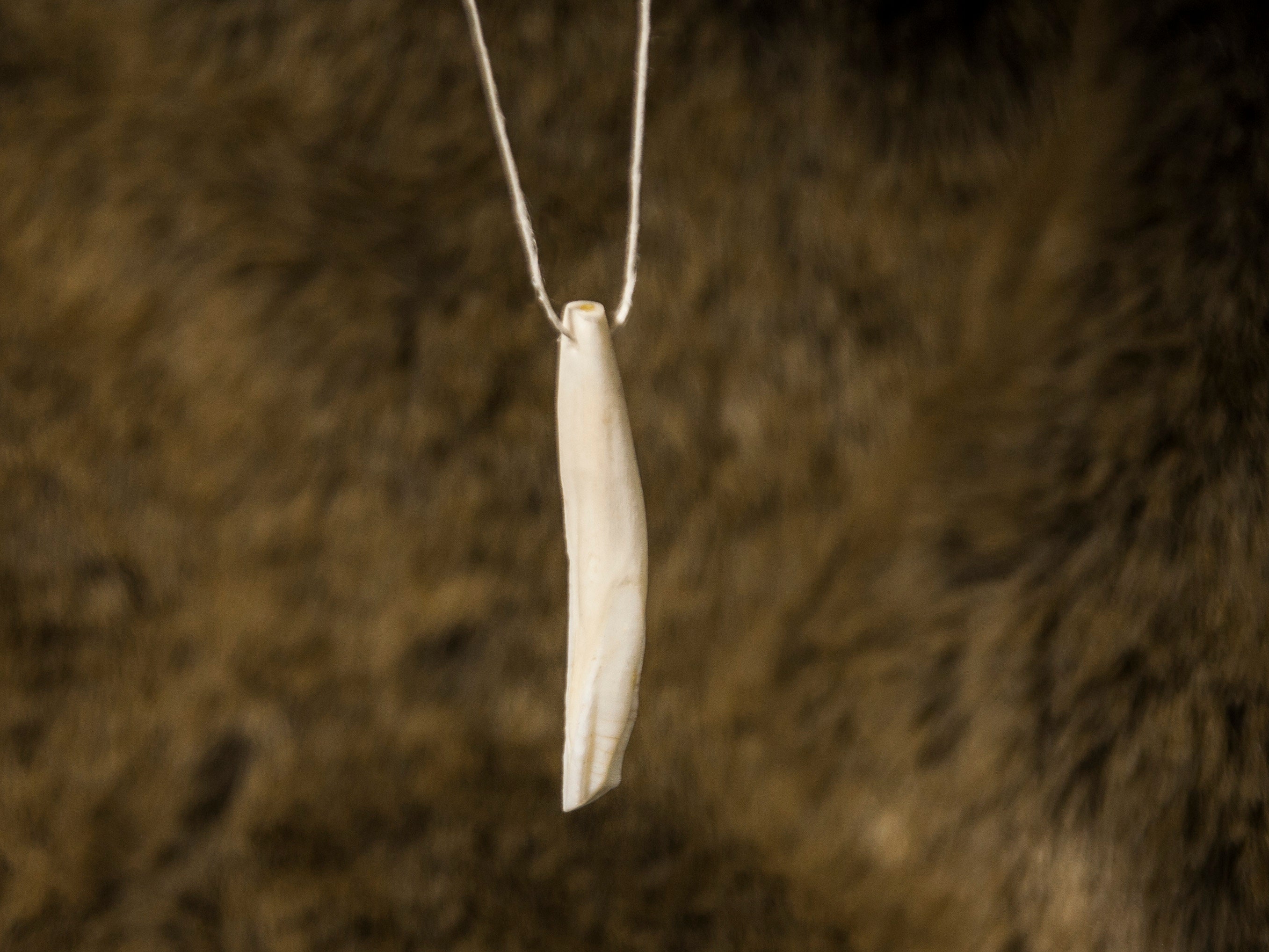 Natural wild boar teeth pendant wild boar fangs inlaid Tibetan silver  animal tooth pendant | Wish