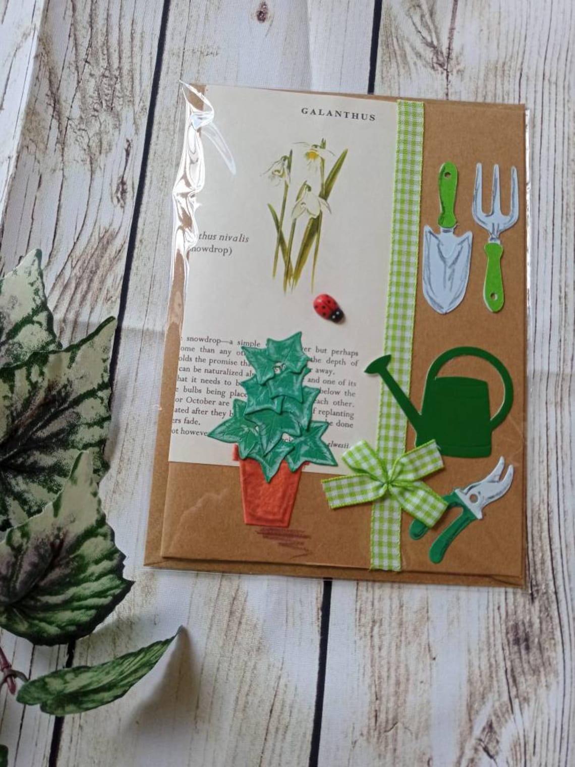 4 X handmade gardening cards Etsy