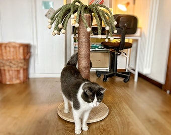 Rolly’s Palm , Cat Scratcher post