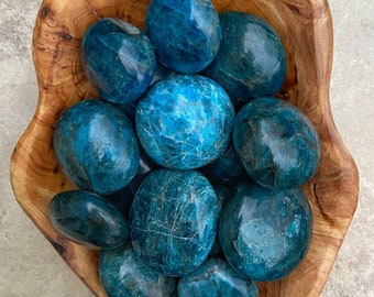 Pierres de palmier d'apatite bleue vivifiantes, trois tailles