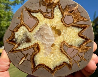 Striking Septarian Plates, Polished on One Side (You Choose)