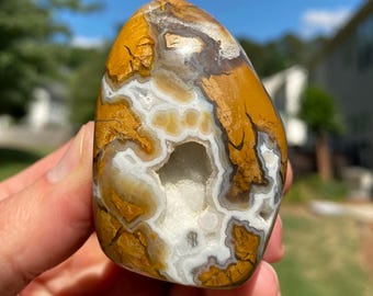 Yellow Chalcedony Gumdrop Freeforms (You Choose)