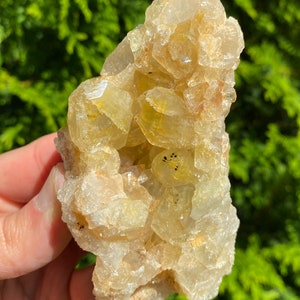 Raw Golden Healer Specimen mit Druzy, 313 Gramm