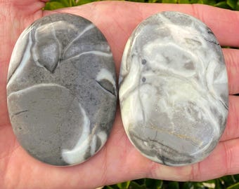 Shell Jasper Palm Stones (You Choose)