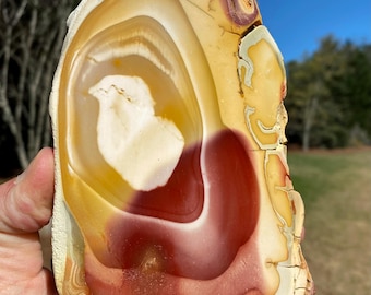 Mookaite Jasper Freeform 2.9 LBS, Polished One Side, with Chicken!