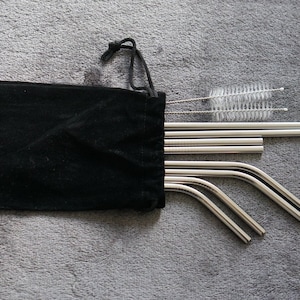 Stainless Steel Reusable Straw pack of 8 Straws Plus 2 Cleaning Brushes and 1 Carrying Case