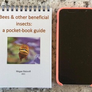 Bees & other beneficial insects: a pocket-book guide image 2