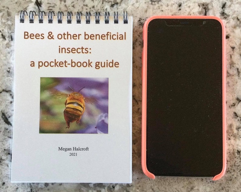 Bees & other beneficial insects: a pocket-book guide image 2