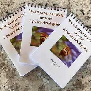 May include: Three white spiral bound pocket guides with the title "Bees & other beneficial insects: a pocket-book guide" and a photo of a bee on each cover. The bottom guide has the author's name and the year 2021 printed on the cover.