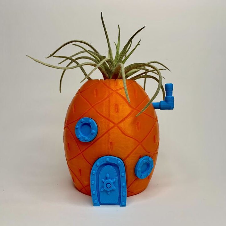 Spongebob Squarepants Pineapple House 3D Printed Airplant Etsy