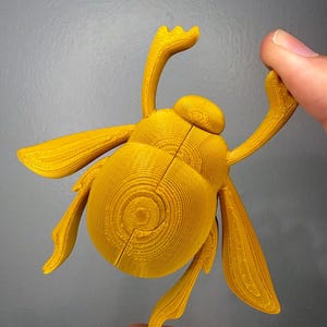 Cave of Wonders Golden Scarab from Aladdin