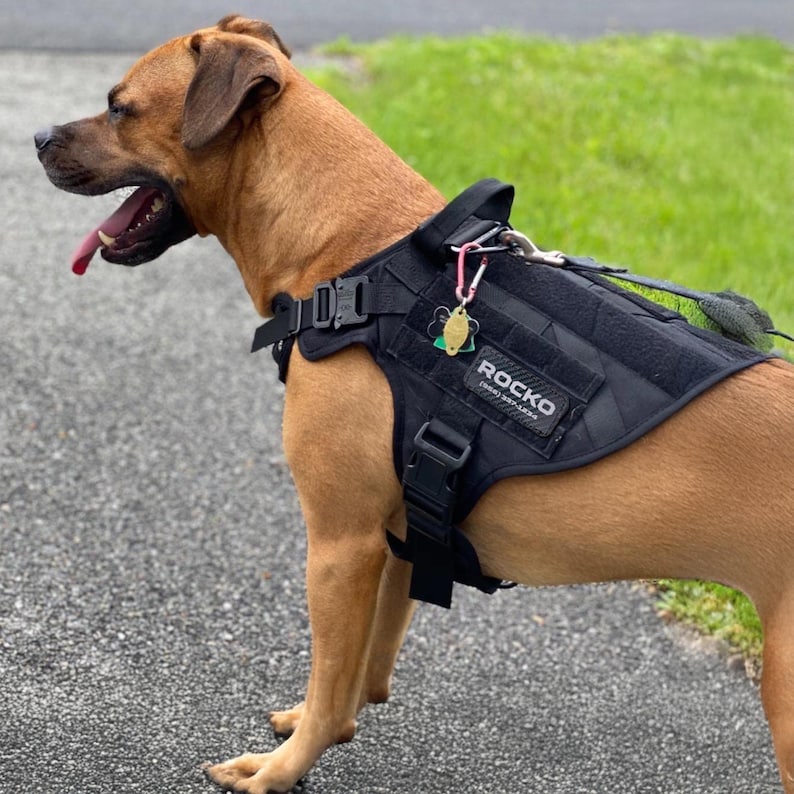 Custom Faux Leather Name Patch for Dog Cat Harness, Collar, Backpack image 2