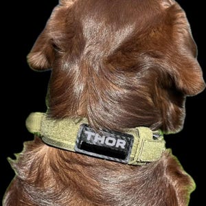 Custom Faux Leather Name Patch for Dog Cat Harness, Collar, Backpack image 7