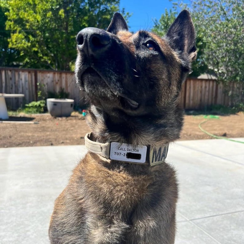 Custom Faux Leather Name Patch for Dog Cat Harness, Collar, Backpack image 9