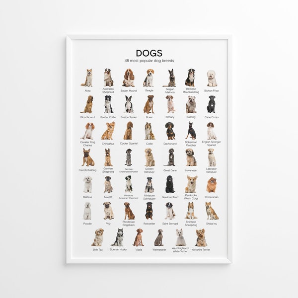 48 Most Popular Dog Breeds Poster, Educational Material, Printable, PDF