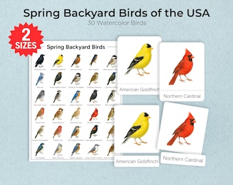 Spring Backyard Birds USA Watercolor Flashcards, Kids Bird ID (PDF Download)
