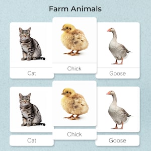ANIMAIS DA FAZENDA, 32 Cartões Montessori de 3 Partes, Cartões Montessori, Flash Cards, Cartões de Nomenclatura, Material Educacional, Para Imprimir, PDF