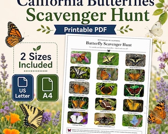 California Butterflies Scavenger Hunt — Printable Activity Sheet, 15 Butterflies, US Letter + A4, PDF