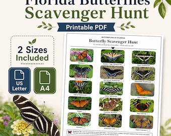 Florida Butterflies Scavenger Hunt — Printable Activity Sheet, 15 Butterflies, US Letter + A4, PDF