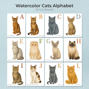 Könnte beinhalten: Ein Satz illustrierter Karten mit Aquarellmalereien verschiedener Katzenrassen, jeweils mit einem Buchstaben des Alphabets. Die Karten zeigen Rassen wie Abessinier, Bengal, Chartreux und Devon Rex. Der Text "Watercolor Cats Alphabet" und "26 Cat Breeds" steht oben.