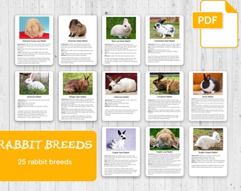 RABBIT BREEDS, Montessori 3 Part Cards and Fact Cards, Montessori Cards, Flash Cards, Nomenclature Cards, Educational Material,Printable,PDF