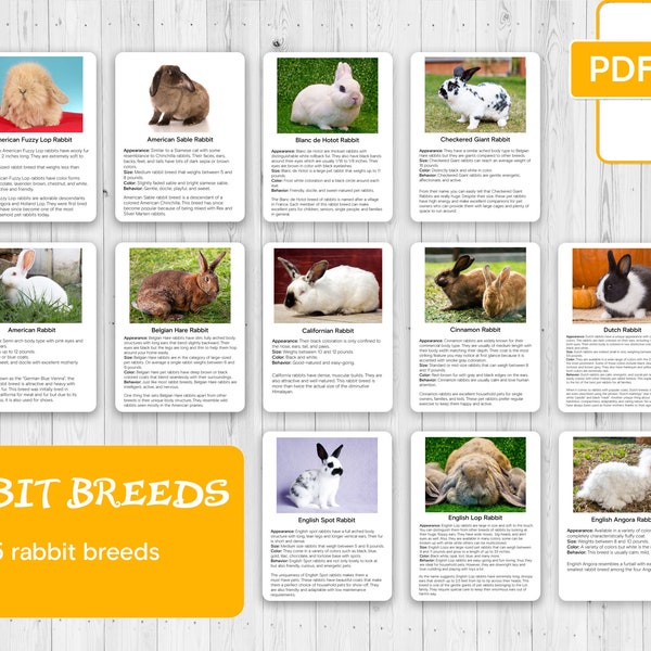 RABBIT BREEDS, Montessori 3 Part Cards and Fact Cards, Montessori Cards, Flash Cards, Nomenclature Cards, Educational Material,Printable,PDF
