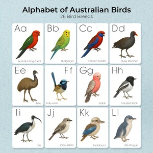 Alphabet of Australian Birds, Realistic Watercolor Flashcards for Kids, A-Z, Printable, PDF