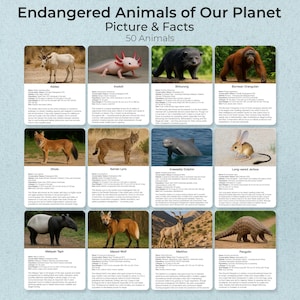 Endangered Animals of Our Planet, 50 Educational Flashcards for Kids, Facts &Picture, Wildlife Learning Cards, Homeschool Classroom Resource