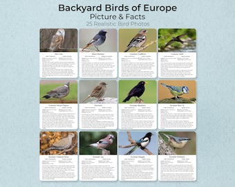 Backyard Birds of Europe Flashcards, Bird Identification, Nature Study (PDF)