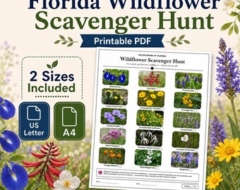 Florida Wildflowers Scavenger Hunt — Printable Activity Sheet, 15 Wildflowers, US Letter + A4, PDF