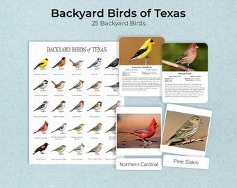 Texas Backyard Birds: Montessori Cards & Poster (PDF)