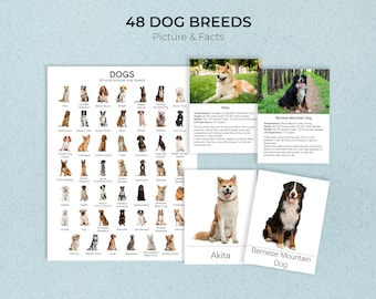 Dog Breeds Montessori Cards: Facts & Picture + Poster (Printable)