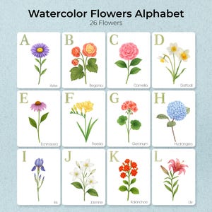 Flower Alphabet Flash Cards, Flowers of the World Alphabet, Alphabet Cards, Watercolor Flowers, ABC, A-Z, Printable Flashcards