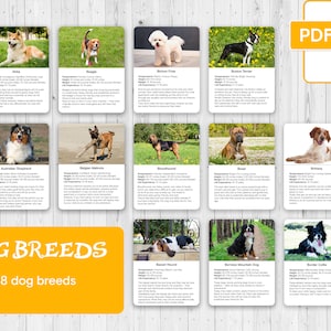 RACES DE CHIEN, Cartes Montessori en 3 parties et fiches d'information, Cartes Montessori, Cartes flash, Cartes de nomenclature, Matériel éducatif, Imprimable, PDF