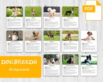 DOG BREEDS, Montessori 3 Part Cards and Fact Cards, Montessori Cards, Flash Cards, Nomenclature Cards, Educational Material, Printable, PDF