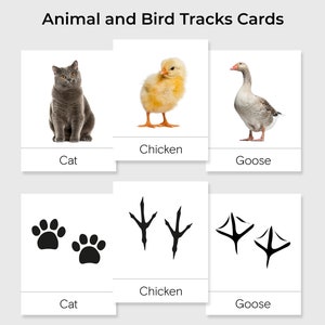 50 Tier- und Vogelspuren-Karten, 100 Montessori-Karten, Montessori-Material, Legespiel, Vorschule zum Ausdrucken, Heimschulaktivität, Pdf