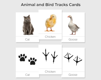 Animal Tracks Matching Cards, Montessori Nature Study (PDF)