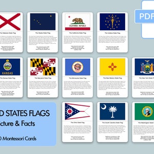 Banderas de ESTADOS UNIDOS, 150 Tarjetas Montessori, Datos e Imágenes, Tarjetas de Tres Partes, Tarjetas de Nomenclatura, Material Educativo, Imprimible, PDF