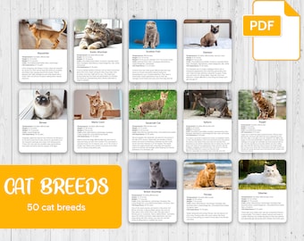 Cat Breeds Montessori Cards: 50 Breed 3-Part Cards (Printable PDF)
