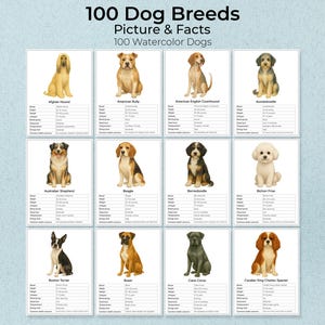 100 DOG BREEDS, Montessori 3 Part Cards and Fact Cards, Montessori Cards, Flash Cards, Nomenclature Cards,Educational Material,Printable,PDF