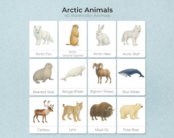 Arctic Animals Flashcards, Watercolor Montessori Cards (PDF)