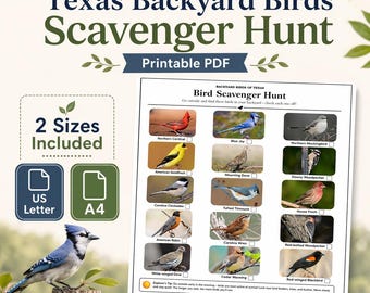 Texas Backyard Birds Scavenger Hunt — Printable Activity Sheet · 15 Birds · US Letter + A4
