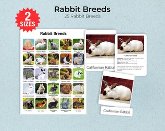 Rabbit Breeds Montessori Cards and Poster: Educational Flashcards (PDF)