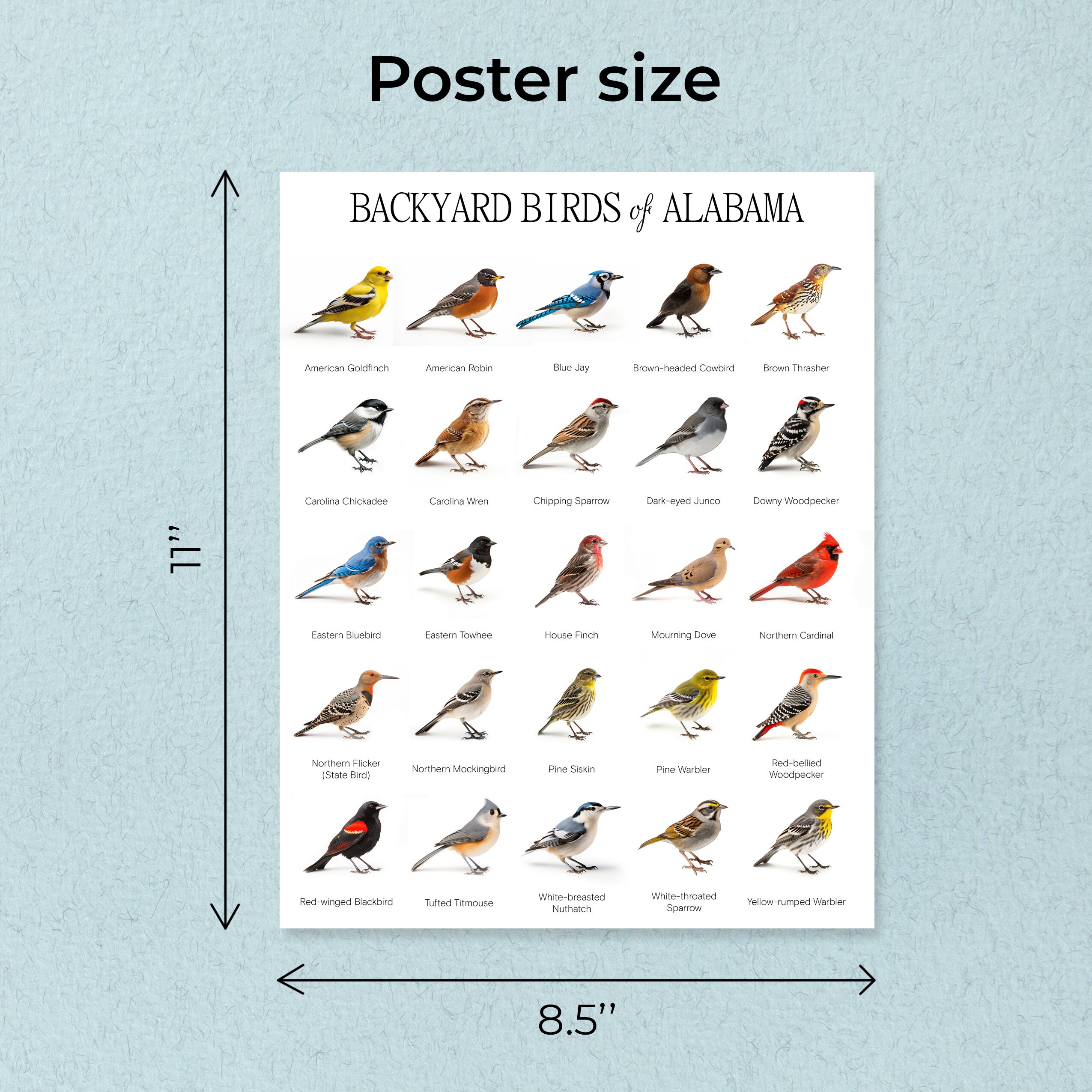 BACKYARD BIRDS of ALABAMA + Poster, Facts &amp; Picture, Montessori Cards ...