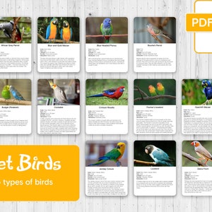 Pet Birds Montessori Cards: 45 Types of Birds (PDF)