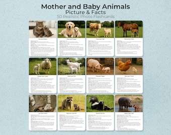 Mother and Baby Animals Flashcards, Montessori Homeschool Printable (PDF Download)